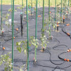 Laistymo sistema Garden Line 5041 (10 m)